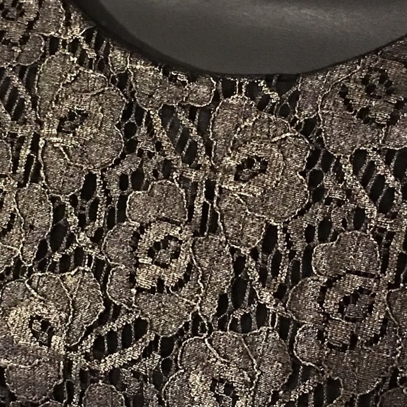 WHBM Pewter Lace Dress NWT - Picture 6 of 8